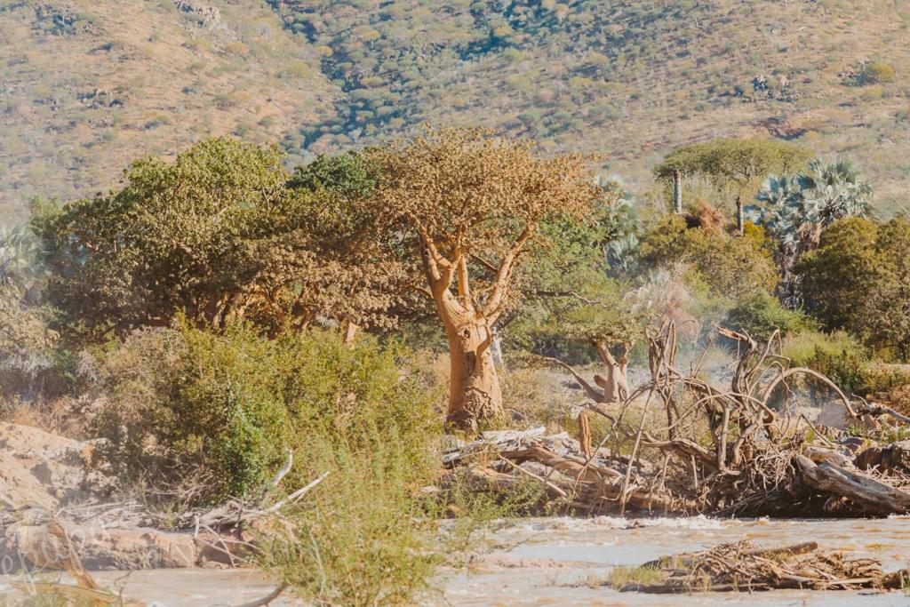 Epupa Falls Lodge מראה חיצוני תמונה